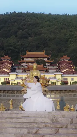 Still as a mountain, moving like a river.#kungfu #taichi 