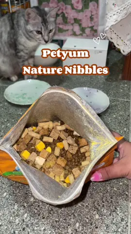 super daming freeze dried meats!!🤭💕#catsoftiktok #petyum #petyumcarnivoreclassics 