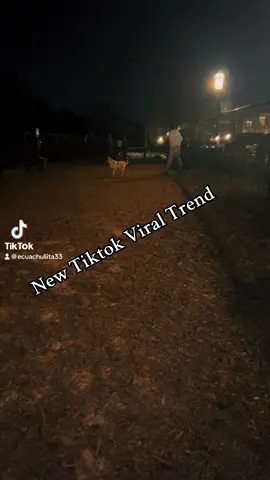 #tiktokviraltrending #newtiktoktrend #tiktok 