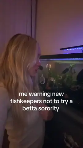 i tried my best but I don’t think it’s for me 💔💔 it’s to stressful & high risk!!! maybe if I had a 100 gal 🐟🌱🌊🦐 #fishtok #bettatok #bettafish #fishtank #bettasorority 