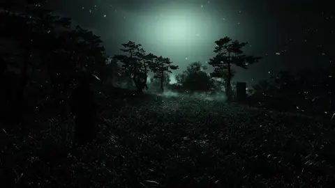 #ghostoftsushima #xyzbca #fyp #r 
