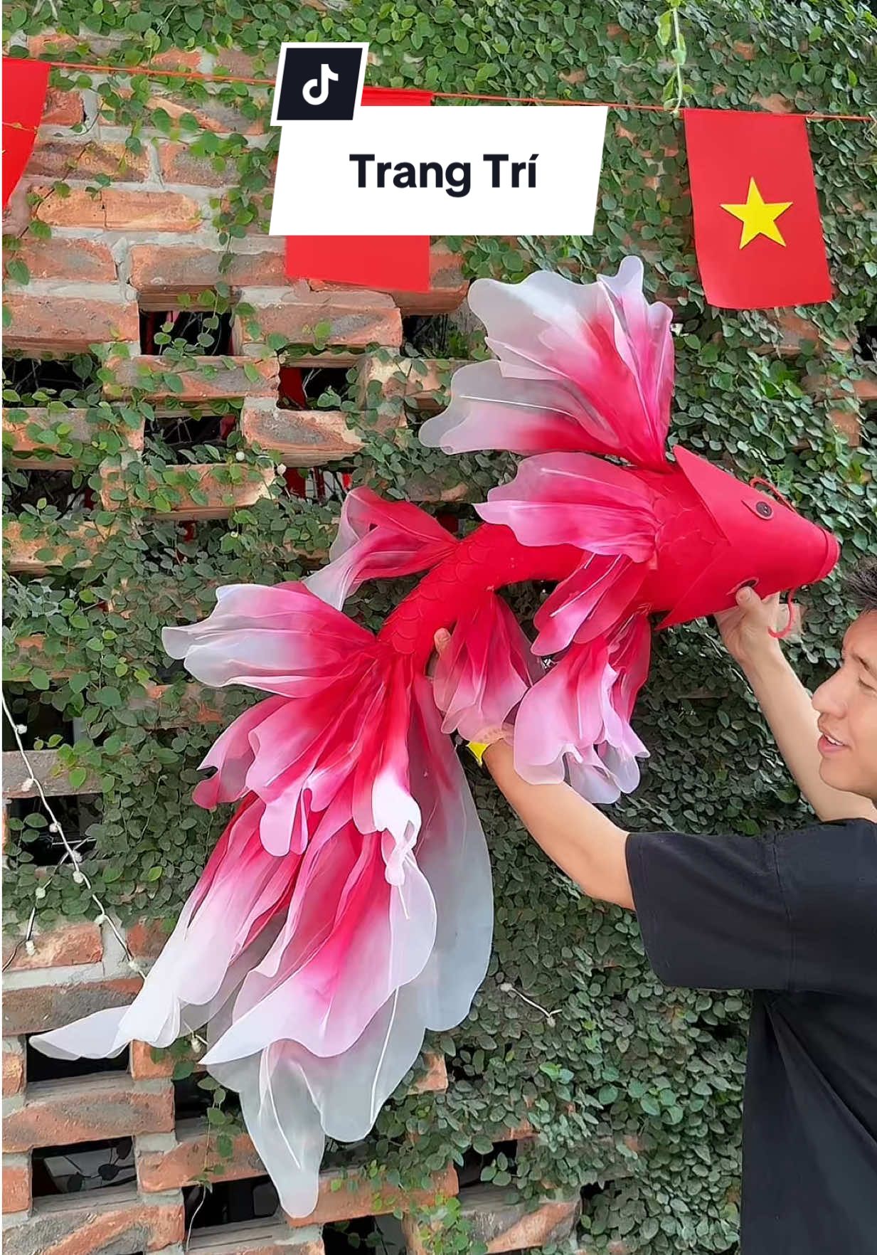 Set Trung Thu Trang Trí Cửa Hàng #haohomhinh #trangtritrungthu 