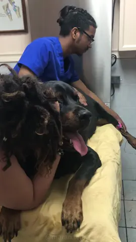 I’ll never be able to accept the loss of my dog #dog #doglover #dogs #foryou #cry 