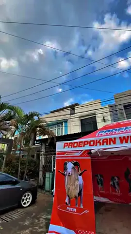 contoh pemasangan peddok 3x4🤩🔥 yang mau tanya-tanya atau order boleh DM atau NO WA ada diBio ya🤗 tersedia tenda bazar, tenda balap, tenda costum dll  📝tersedia ukuran 2x2, 2x3 , 3x3, 3x4, 3x6 🛠kualitas kokoh tahan angin & hujan  #fyppppppppppppppppppppppp #fyp #tendapeddock #tendabalap #hpdkijawabarat 