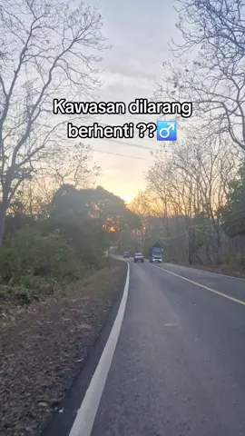 vibesnya gk perna gagal 🥰 #alasbaluran #hutanbaluran #sunrise #jawatimur #explorejatim 