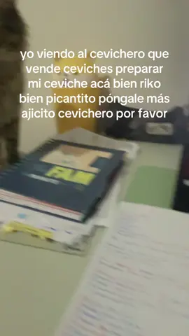 un cevichito siono  #cat #gato #ceviche #fyp 