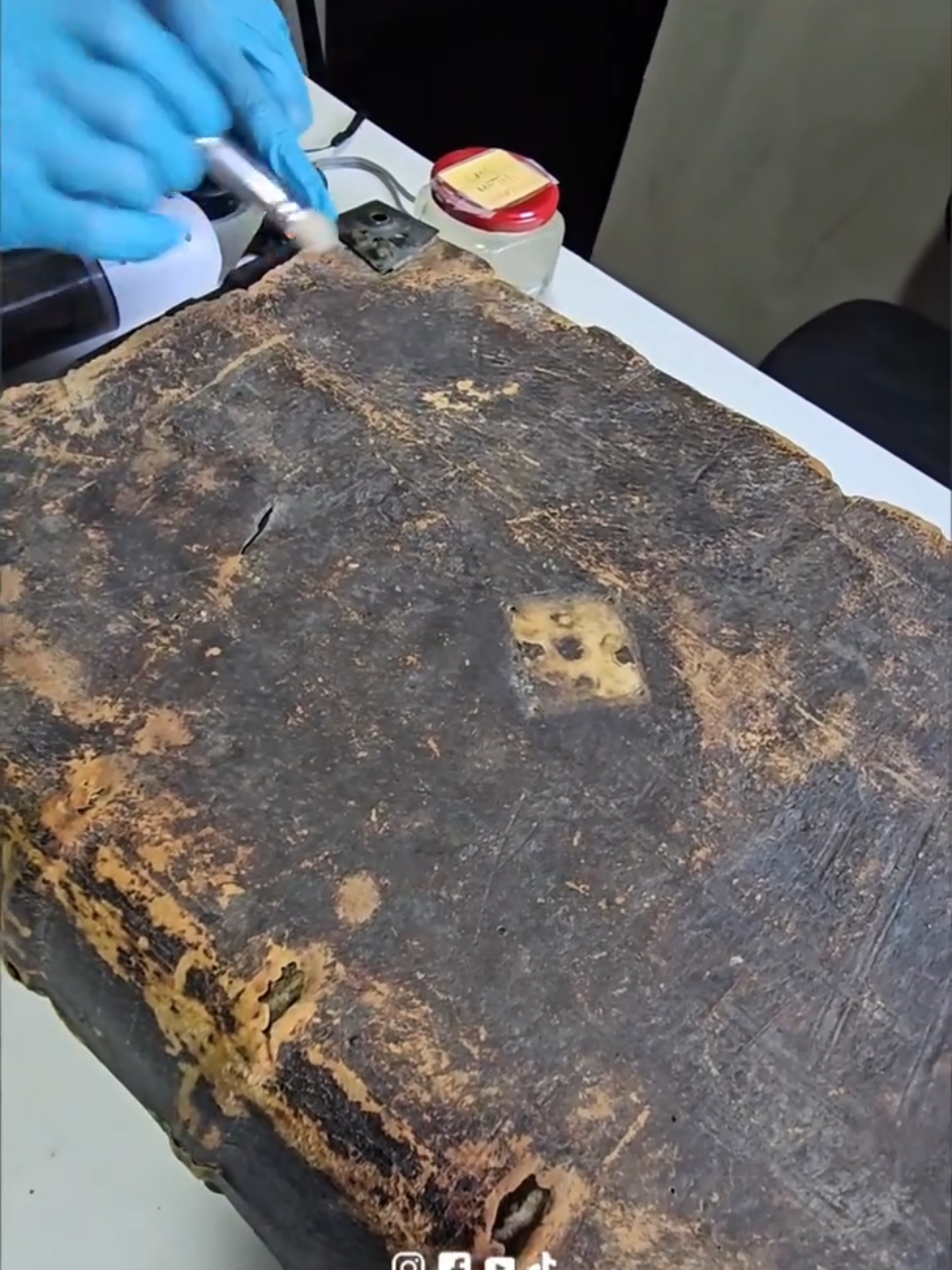 Um livro que atravessou séculos. E agora, nas mãos de Dakila Pesquisas, a Bíblia de Zurique de 1519 volta a respirar.🤓 Do pincel ao ozônio, da limpeza à luz ultravioleta, cada detalhe revela um segredo que o tempo tentou esconder. ✨ E esse é apenas o começo de uma revelação histórica, um trabalho minucioso, mas muito promissor! 👉 Siga e venha acompanhar todo o processo junto conosco! Em breve traremos mais detalhes... #Ratanabá #BíbliaDeZurique #DakilaPesquisas #RestauraçãoHistórica #ManuscritosAntigos 