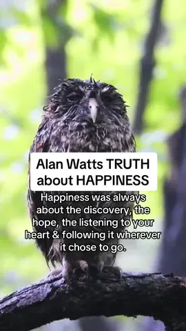 Happiness was always  about the discovery, the  hope, the listening to your  heart & following it wherever  it chose to go. #alanwattsphilosophy #alanwatts #alanwattsquotes #SaveBarredOwls  #BarredOwls 