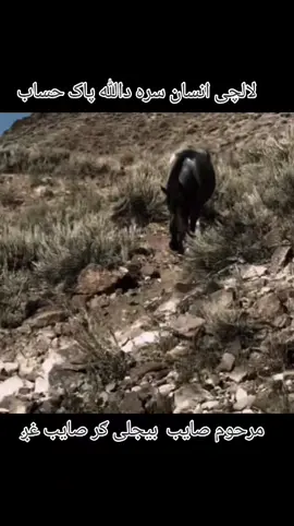 #لالچی انسان سره دالله پاک حساب#لاله_الا_الله_محمد_رسول_الله @💀𝑨𝒇𝑮🥷🏻 