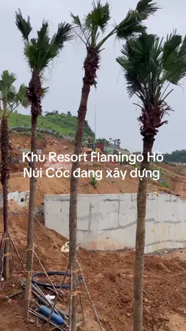 Nhìn khu Resort đang được thi công nhé #flamingo #tienthinhphat #honuicocthainguyen #xaydung #xaydungtienthinhphat #flamingomaison #biethu #xuhuong #thainguyen 
