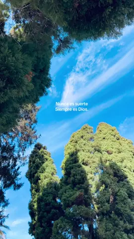 💚. #fypシ゚ 