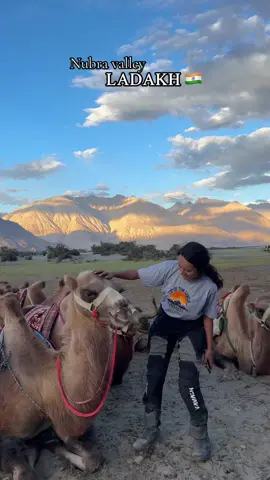 Nubra valley Ladakh ❤️☺️#MissDulante #pyuthaniladyrider #pyuthan #goviral 