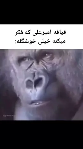 😂😂 #fyppppppppppppppppppppppp #فوریو_پاشم_بیام_جرت_بدم #فوریو_بری_نری_به_چپمه #فوریو_نظری_به_حال_ما_کن #فوریو 