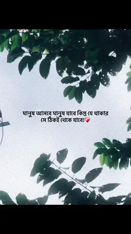 মানুষ আসবে মানুষ যাবে কিন্তু যে থাকার সে ঠিকই থেকে যাবে!❤️‍🩹