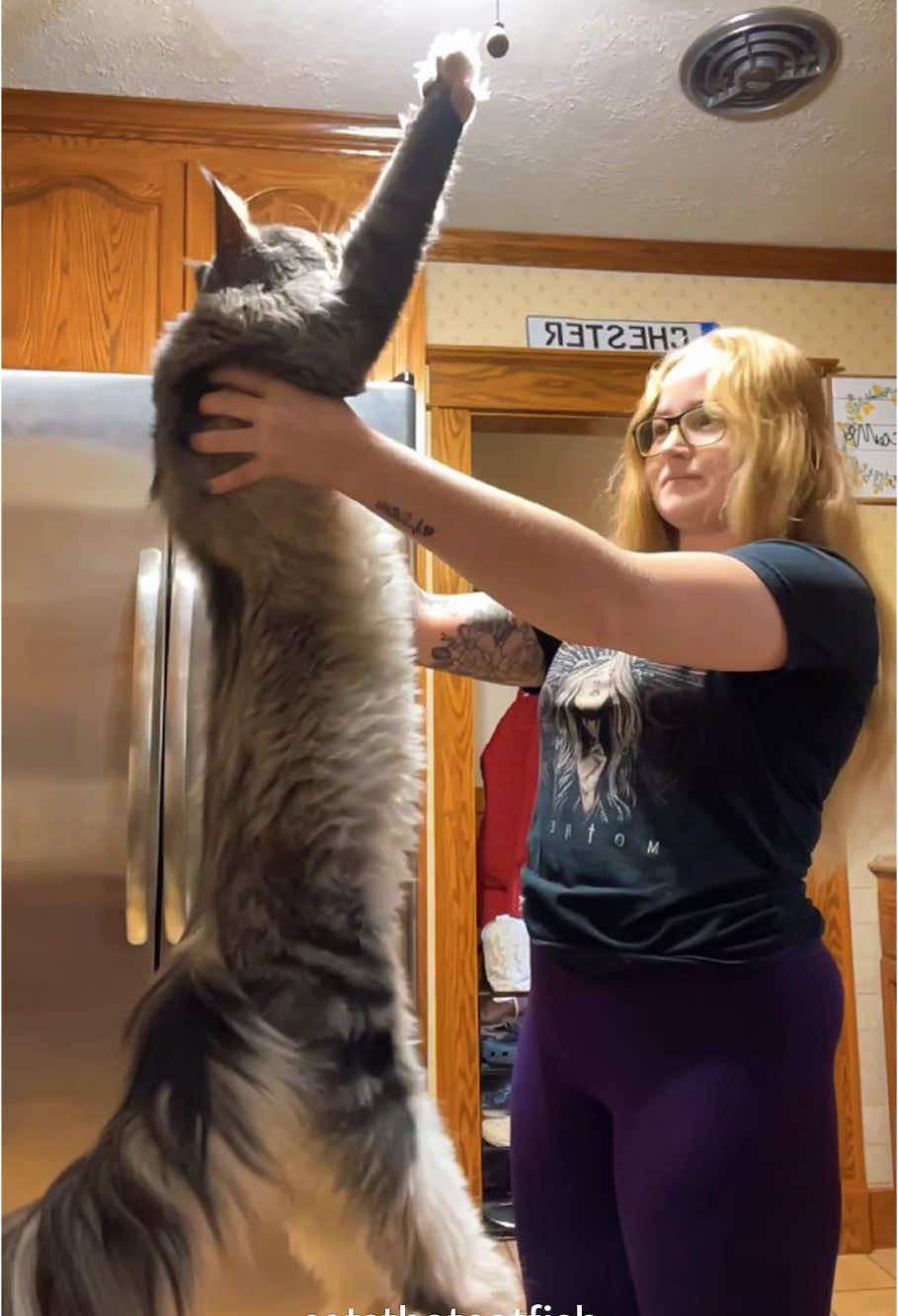 The Ultimate Cat Stretch ASMR 🥰 So Relaxing! #CatStretch #ASMR #Relaxing #CatSoftPaws #DailyPurr