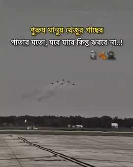 🗿🍂🥷🏼 #1millionviews #viral #tiktok #foryou #viralvideo @TikTok @For You 