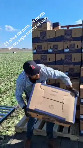 Circo, maroma y teatro #iceberglettuce 