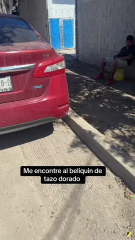 Que pena 😫 #tazodorado #video #viral #