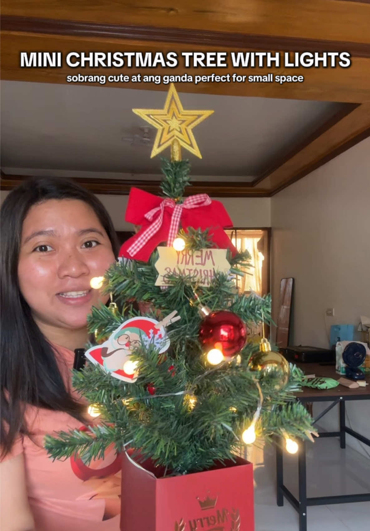 DIY MINI Christmas Tree with Lights #christmastree #christmaslights #tiktokfindsph #pasko #budol 