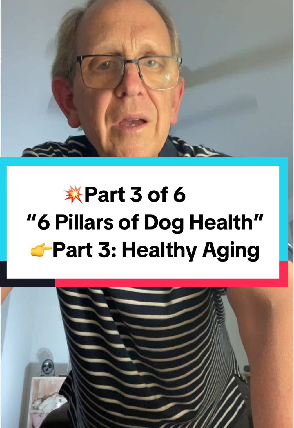 💥Part 3 of 6: “6 Pillars of Dog Health”‼️ 👉Part 3: Healthy Aging 👉Whether it’s cognitive decline, eye health, heart health or urinary health, the “Other Half Everyday” features a healthy aging blend to help your dog age gracefully 👏💥 ✅Taurine ✅Cranberry ✅NAD ✅COQ10 ✅Resveratrol ✅Astaxanthin . . ##dogaging##healthyaging##dogcognition##dogeyes##doghearthealth##dogurinaryhealth##taurine##cranberry##NAD##coq10benefits##resveratrol##astaxanthinTikTok# #d#doghealthtipsd#dogtipsd#doghealthd#dogwellnesd#dogsupplementsd#dogsuppliesd#dogessentialsn#naturalsolutionsfordogsd#dogmomd#dogdadd#dogparentsd#dogowner#p#petlifed#dogpack@@Other Half Inc.