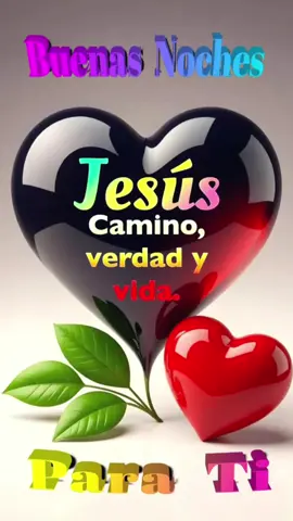 #felizybendecidanoche #lindanocheatodos✨💕🌹💕🙏 #graciaspadreamado🙏 