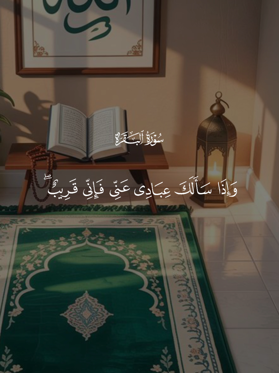 وَإِذَا سَأَلَكَ عِبَادِى عَنِّى فَإِنِّى قَرِيبٌ ۖ 🎧🤍 #تلاوة_خاشعة #قران #quran #مشارى_العفاسى 