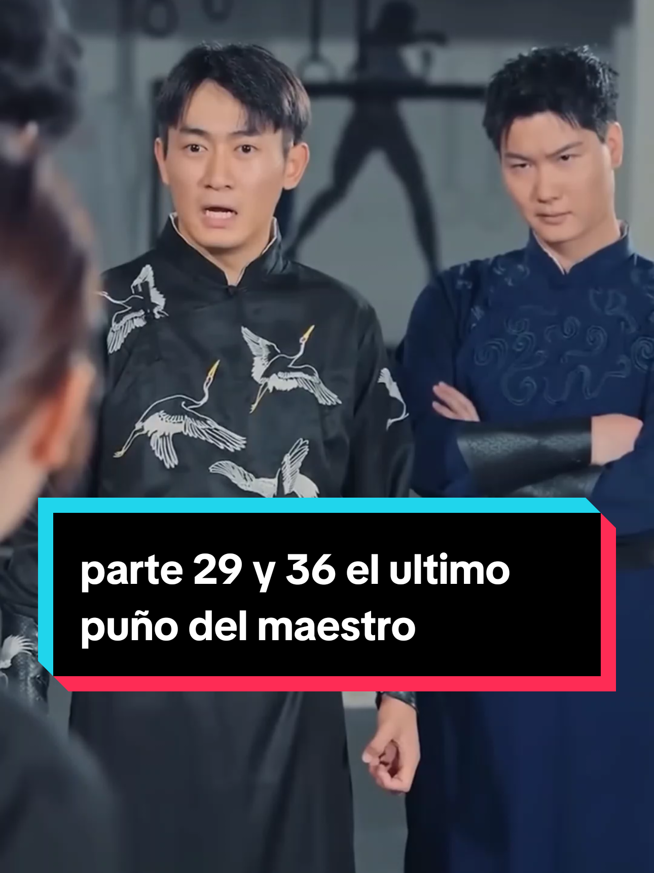 parte 29 y 36 el ultimo puño del maestro #100kviews #paratiiiiiiiiiiiiiiiiiiiiiiiiiiiiiii #viralvideo 