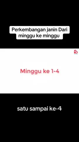 Perkembangan debay 🤰#bumilsehatbayisehat🤰♥️😘😘 #bidantiktok #debay 