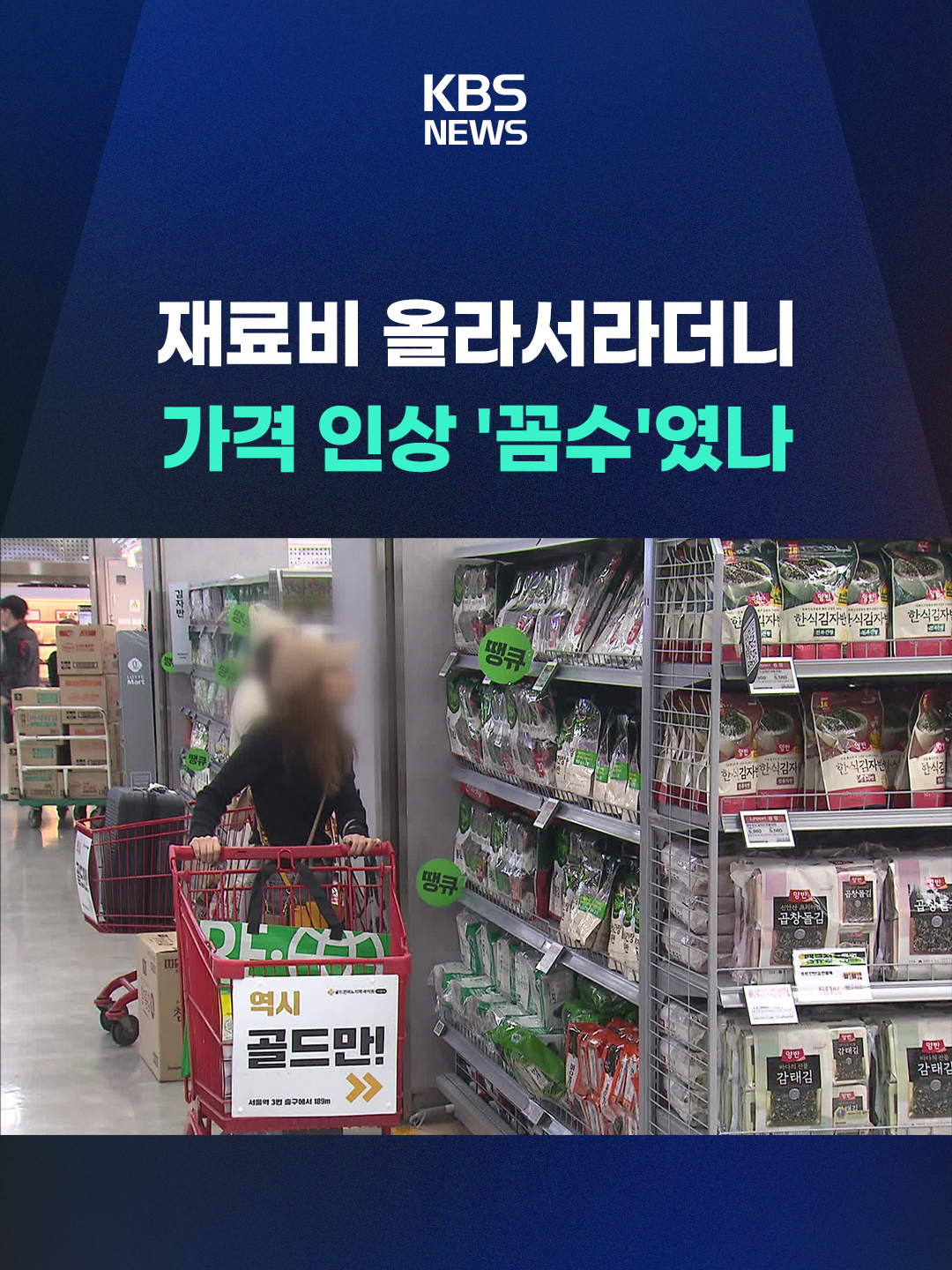 식품 업체들이 가공식품 등의 가격을 올릴 때 재료비 인상을 이유로 들지만, 국세청이 실제보다 재료비를 부풀려 세금을 탈루한 정황을 포착해 업체 수십 곳에 대한 특별 세무조사에 나섰습니다. #가격인상 #물가 #가공식품 #국세청 #원재료 #KBS #KBSNEWS