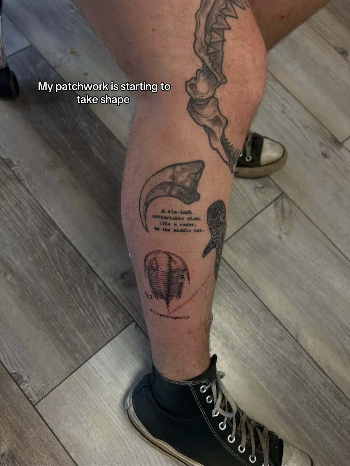 I honestly don’t know which is my favorite #tattoo #tattoos #tattooartist #tattooideas #tattootiktok 