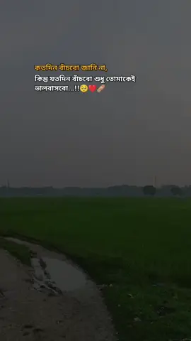 #যতদিন_বাচঁবো_শুধু_তোমাকেই_ভালোবাসবো_🥺❤️‍🩹❤️‍🩹 #foryou @⏤͟͟͞͞★𝑺.𝑵𝒖𝒓𝒎𝒊𝒏🥂⏤͟͟͞͞★ 