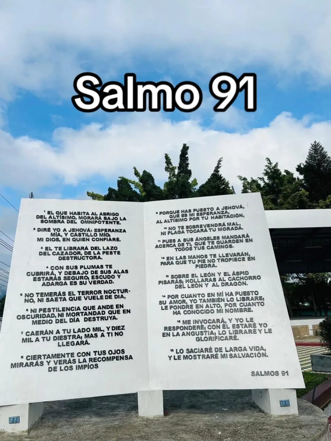 #salmo91 #Diosaltisimo #Reydereyes #Diosesbueno #buenasnoches 