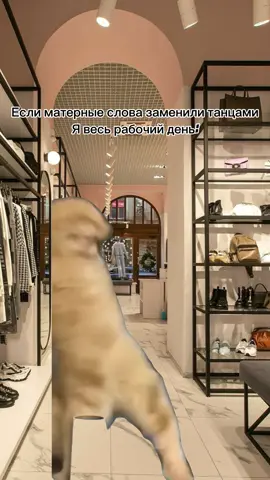 #Meme #MemeCut #fypシ゚ #fyppppppppppppppppppppppp #рекомендации 