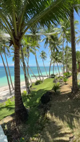 travelled for almost 3 hrs from Panglao to Anda so we can see this beauty! #fy #andabohol #travel 