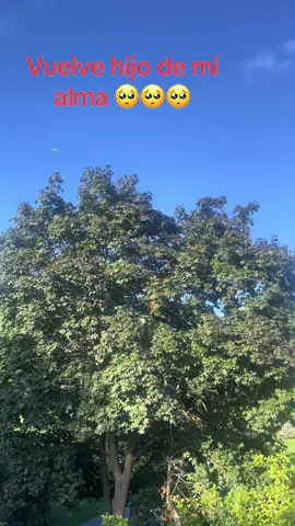 #buscandoaarturozavalahilerio #comparteporfavor #ayudame #hastaencontrarte #tiktok 