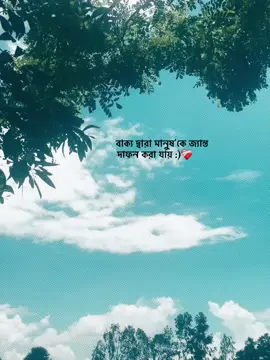 বাক্য দ্বারা মানুষ'কে জ্যান্ত দাফন করা যায় :)❤️‍🩹#ohin00000🦋 #biccu🦋 #tiktok #video #vairal 