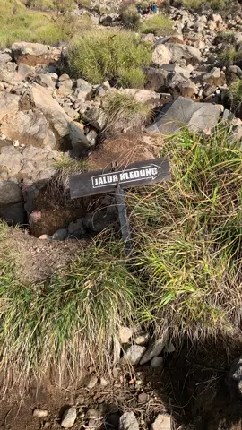 Jalur kledung bikin nagih 🥵 #puncaksindoro #sindoroviakledung #gunungsindoro #gunungsindoroviakledung #sindoromountain 