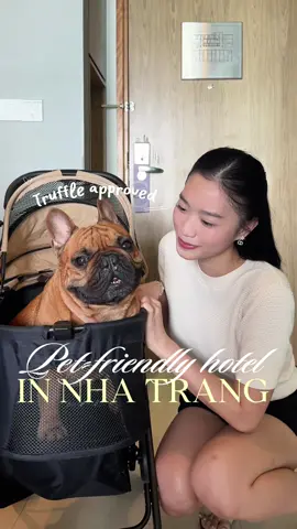 Không biết Truffle đc đi chơi thì ẻm vui bao nhiêu mà có ẻm đi chung là tui vui gấp mấy lần ẻm rồi đó🥹💗🐾  #nhatrang #petfriendly #hotel #dulichvietnam 