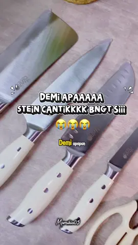 Aaaaa cantik bgt set pisau STEIN 😍 #setpisausteincookware #pisauset #pisausetsteincookware 