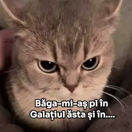 #fypツ #amuzant #viralvideos #viral_video 