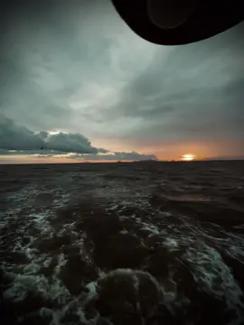 只有父母才会无条件地爱自己的孩子。这个社会必须有条件让他们爱自己的孩子..！ Chỉ ba mẹ mới yêu con vô điều kiện.Còn xã hội này phải có điều kiện họ mới yêu con..!