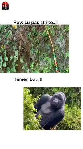 Jujur aja...suka ada yang ngintip kan? #mancingmania #mancingliar #microfishing #mancingwader #viral 