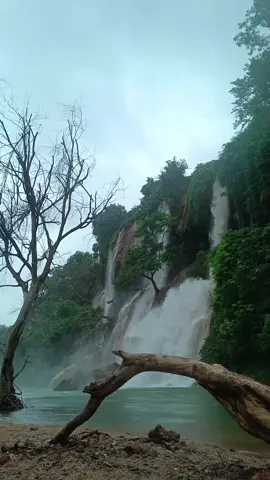 တစ်ခါလောက်တော့ ရောက်ဖူးသင့်တဲ့ ပန်းလောင်ရဲ့အလှ🥰 #မောင်းကွေးရေတံခွန် #ပန်းလောင် #ကူမဲမြို့ #foryou #fyp 