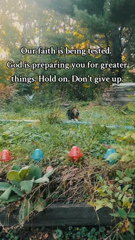 Thoughts of the day. Hold on and stay faithful. ❤️ #Faith #Jesus #God #christian #christiantiktok 