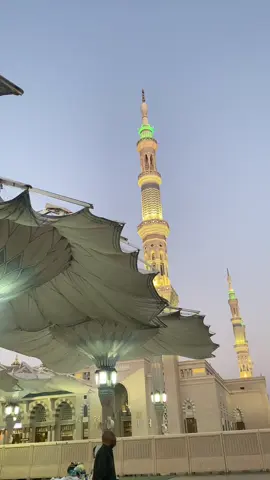 Not a day passes without longing for the sukoon of Madinah. Ya Allah, invite me home soon 🤲