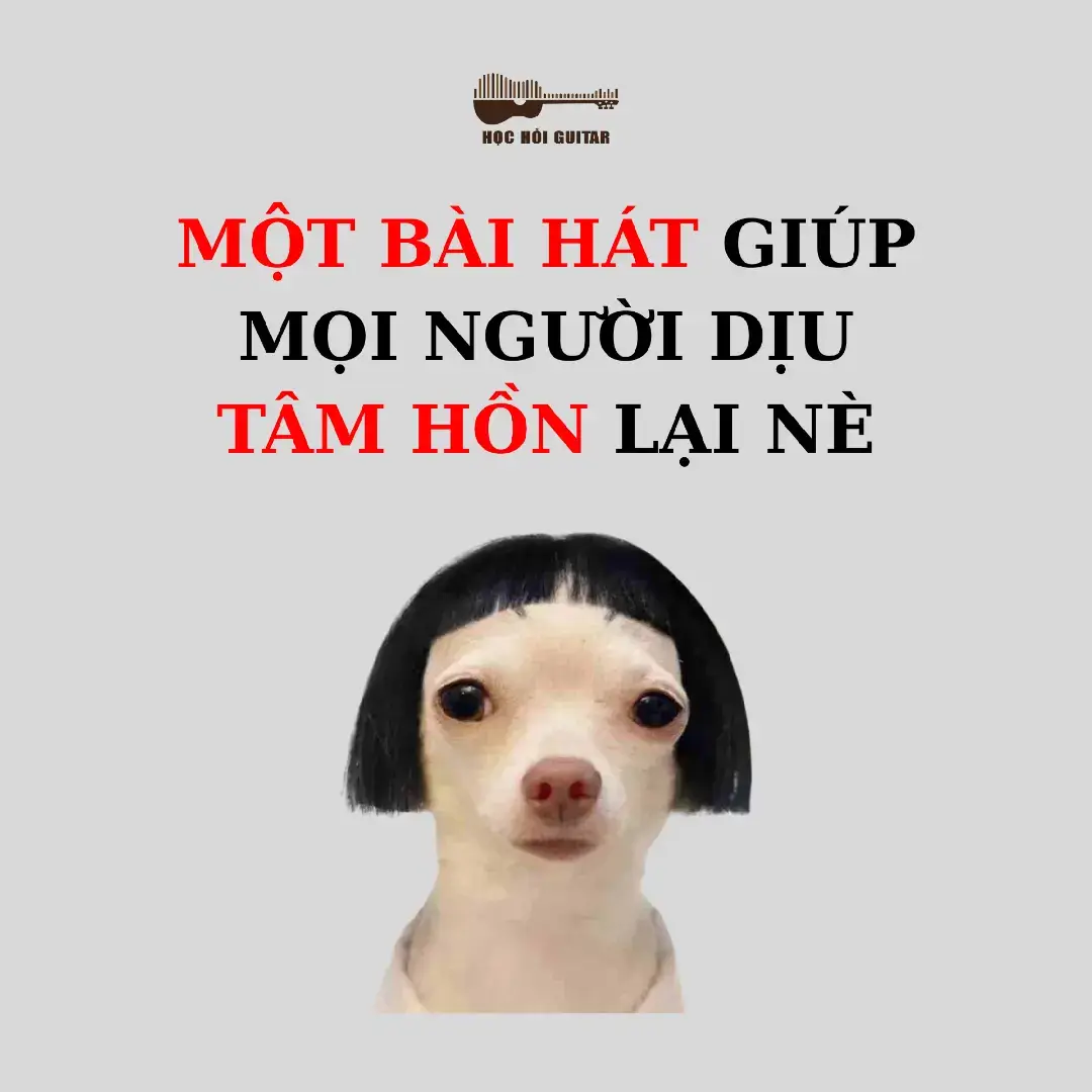 🔥 Chỉ cần vài phút là bạn có thể tự đàn và hát “Tâm – Mer” ngay tại nhà. Theo dõi để học thêm nhiều bài nữa nhé 🎶#hochoiguitar #guitardemhat #hocguitar #tam #hocguitaronline