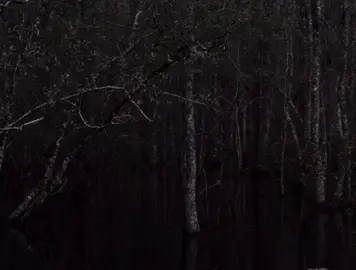 #ETHELCAIN | etienne.  #perverts #preachersdaughter #viral #fyp  i am still not over this song. it’s so good oml. 