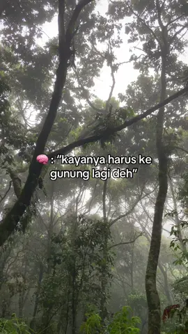 karna di gunung tu tempatnya tenang #gunung#gununglawu#pendakigunung#tenang#kata 