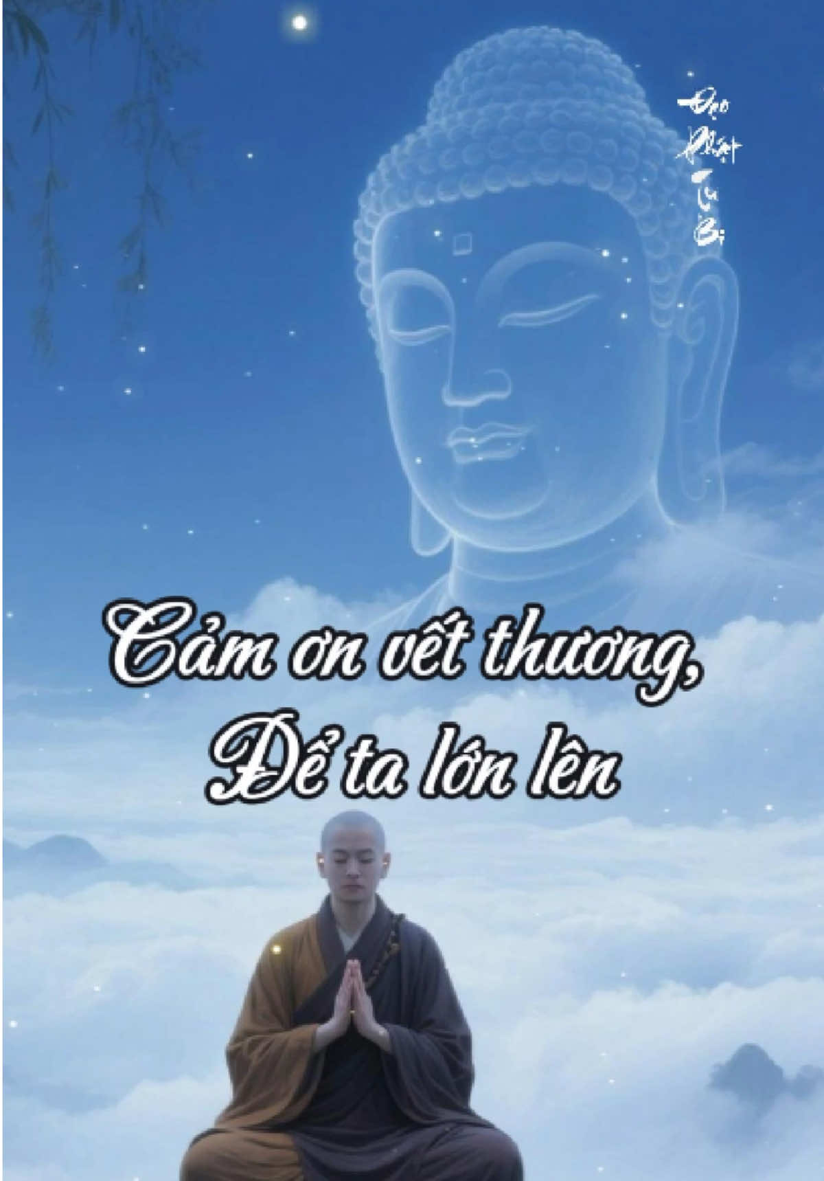 Cảm Ơn Người Rời Bỏ, Cho Ta Hiểu Chữ Vô Duyên. #Cảmơn #Phậtpháp #Đạophật #Nhântâm #adidaphat