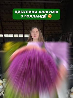 Осінній розпродаж
Знижки до -35% на Алліум з Нідерландів